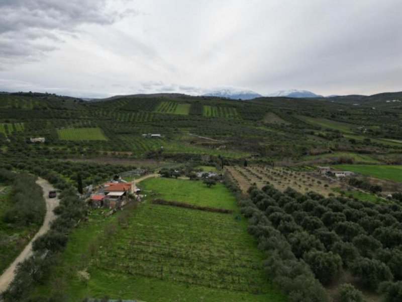 Agies Paraskies Kreta, Agies Paraskies: Großes Grundstück zu verkaufen Grundstück kaufen